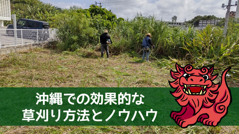 沖縄での効果的な草刈り方法とノウハウ